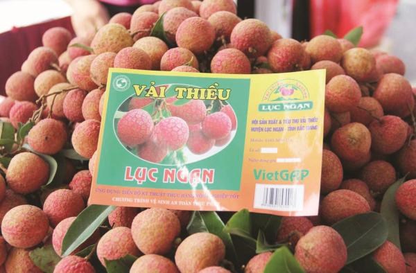 越南获地理标志认证的农产品数量在东南亚位居第二 hinh anh 1