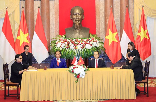 越南国家主席陈大光与印尼总统佐科会见记者 hinh anh 1
