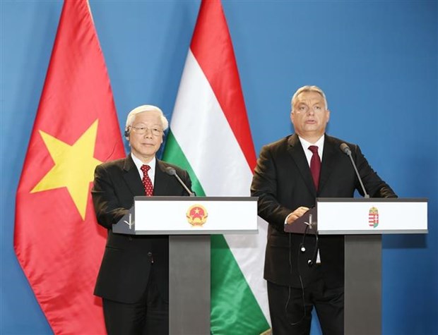 越南与匈牙利发表联合声明 建立全面伙伴关系 hinh anh 1