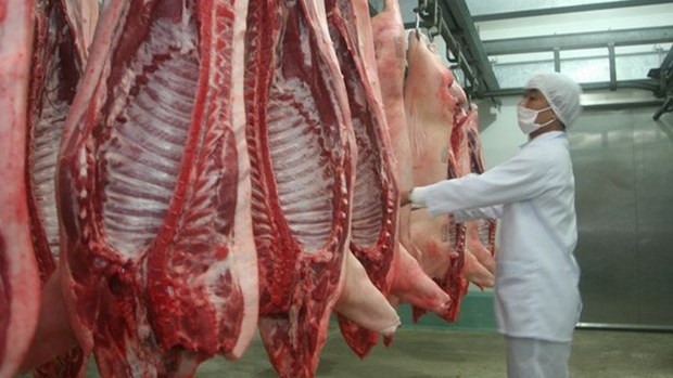 越南暂时停止进口波兰和匈牙利的猪肉 hinh anh 1
