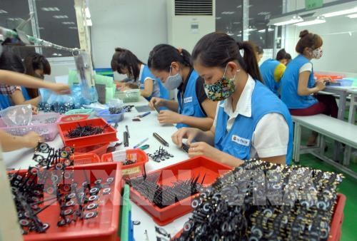 越南为外国企业的产品外包加工总额达86亿美元 hinh anh 1