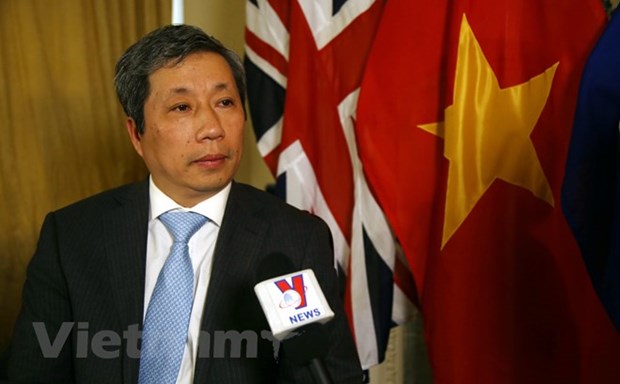 越南驻英国大使陈玉安：越英两国关系正处在最好的发展阶段 hinh anh 1