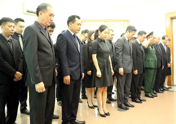 越南驻世界各国大使馆举行原越共中央总书记杜梅吊唁仪式 hinh anh 3