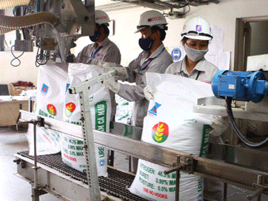 东南亚是越南化肥的最大出口市场 hinh anh 1