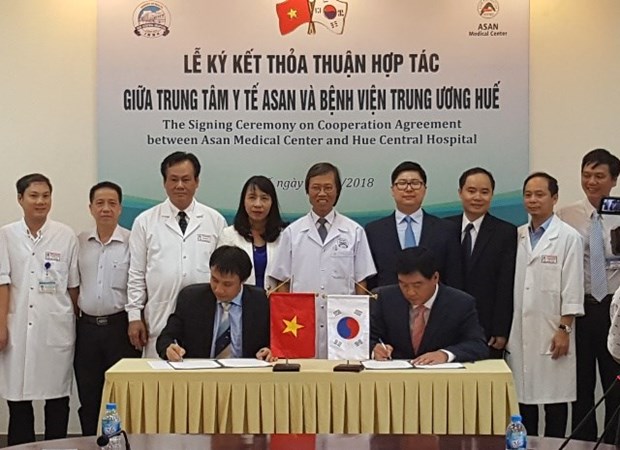 顺化中央医院与韩国峨山医疗中心合作实施肝移植领域合作计划 hinh anh 1