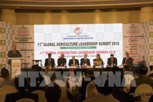 越南参加印度第11届全球农业领导人会议 hinh anh 1