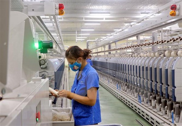 Vitas 与WWF合作推动越南纺织服装行业绿色发展 hinh anh 1