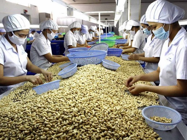 越南同奈省寻找措施提高农产品竞争力 hinh anh 1