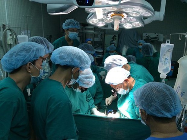 越南器官移植技术的进步 hinh anh 1