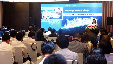 岘港市寻找措施促进邮轮旅游发展 hinh anh 1