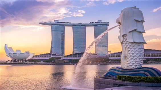 2018年10月新加坡核心通胀率回到四年来高位 hinh anh 1