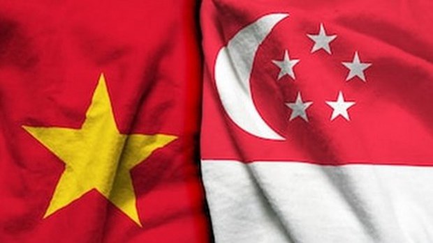 进一步加强越南与新加坡的经济与文化对接 hinh anh 1