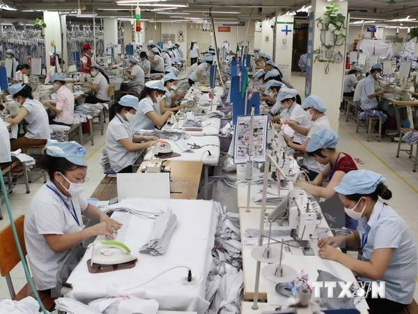 越南与印度进一步促进纺织品贸易 hinh anh 1