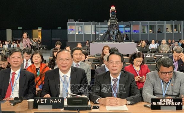 COP 24：越南积极开展应对气候变化的各项承诺 hinh anh 1