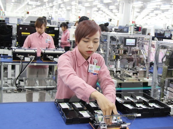 11月份越南全国新成立企业雇佣劳动力92300人 hinh anh 1