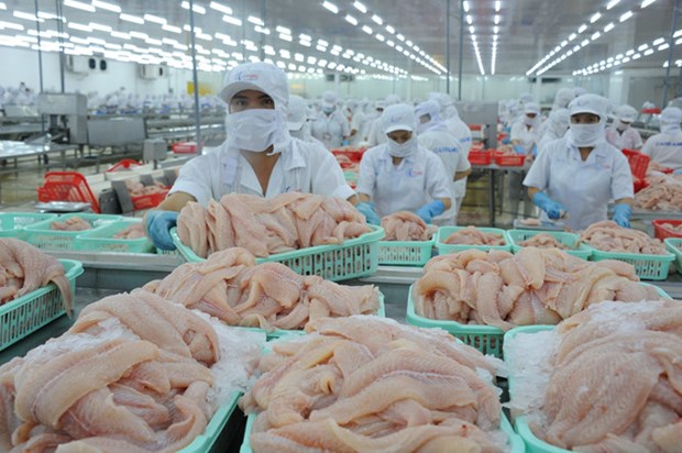 美国取代中国香港成为进口越南查鱼的最大市场 hinh anh 1