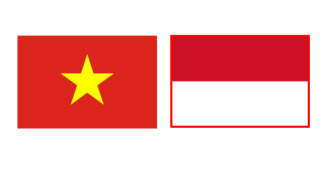 庆祝越南与印度尼西亚建交63周年音乐晚会在河内举行 hinh anh 1