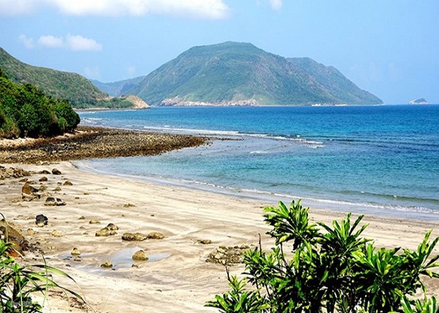 巴地头顿省努力将昆岛发展成为富有特色的海岛生态旅游区 hinh anh 1