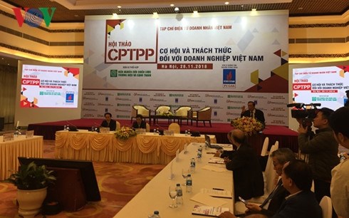 CPTPP：越南企业的挑战 hinh anh 1