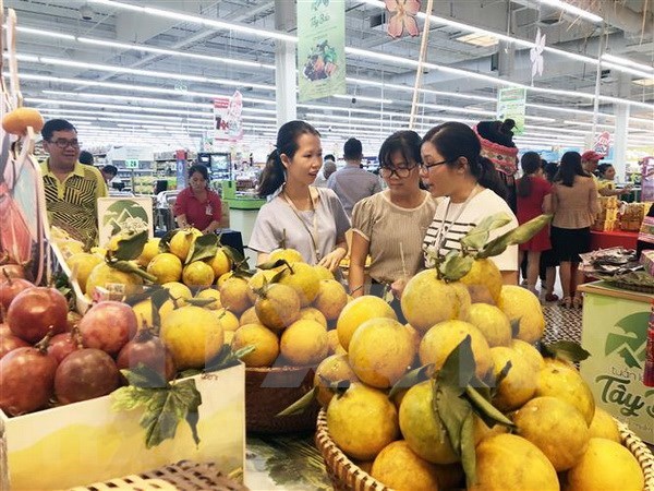 推动越南农产品进入高标准市场 hinh anh 1