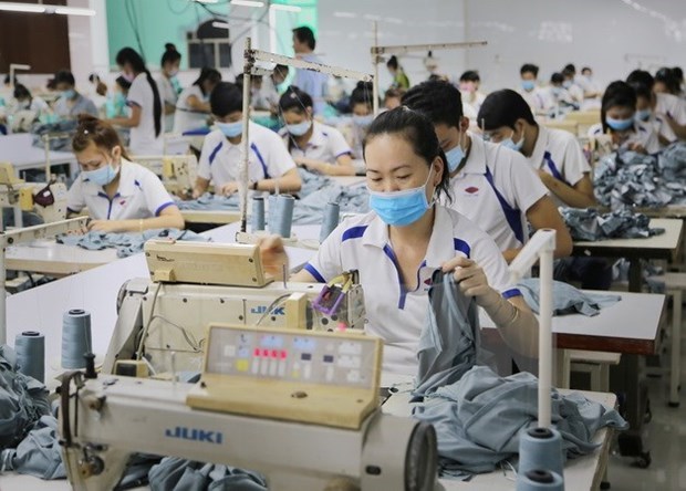 CPTPP正式生效：越南纺织服装企业迎来扩大市场的商机 hinh anh 1