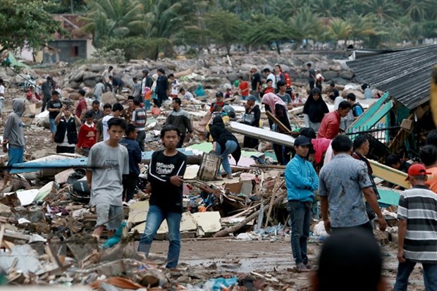 印尼计划在巴厘岛增加安装海啸预警系统 hinh anh 1
