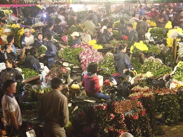 越南被评选为世界迎新年最有趣的13个地方之一 hinh anh 1