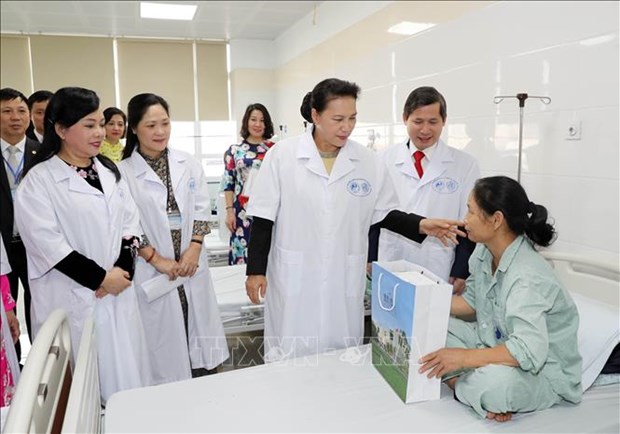 国会主席阮氏金银：努力发挥传统医学在人民保健工作中的作用 hinh anh 1