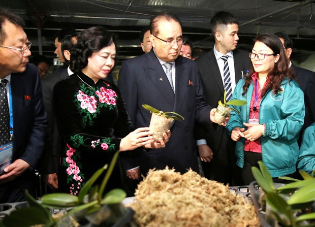 朝鲜劳动党代表团参观丹淮合作社兰花种植模式 hinh anh 1