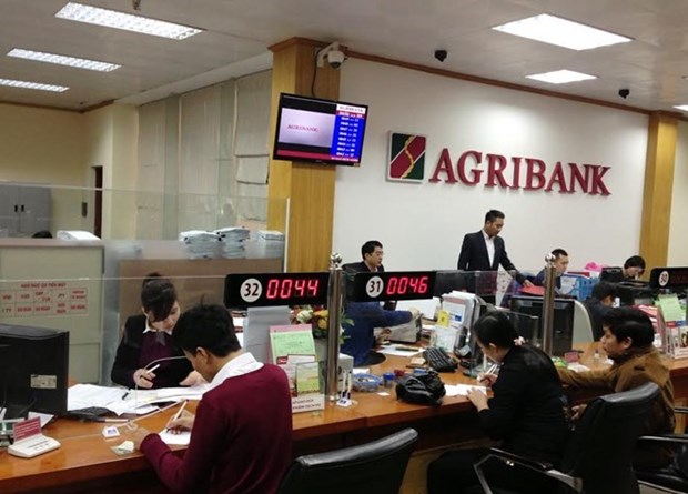 韩国将协助Agribank实现股份化 hinh anh 1