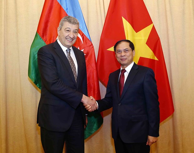 越南外交部与阿塞拜疆外交部举行政治磋商 hinh anh 2