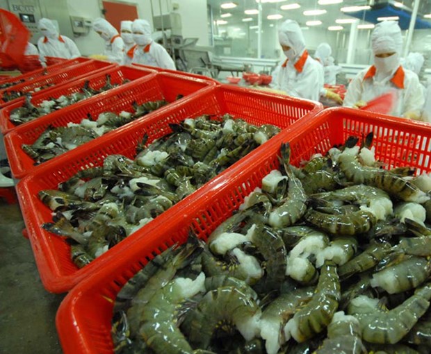 出口美国的31个越南虾类企业享受零关税待遇 hinh anh 1