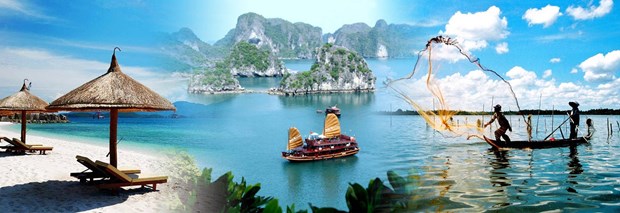 为助推越南旅游业发展建言献策 hinh anh 1