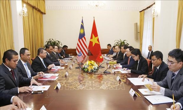 越南政府副总理兼外长范平明与马来西亚外交部长赛夫丁举行会谈 hinh anh 2