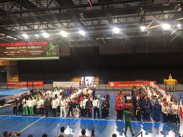 2019年越南传统武术世界锦标赛首次在法国举行 hinh anh 1