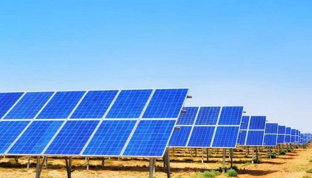 由印度企业兴建的太阳能发电厂在庆和省投入运营 hinh anh 1