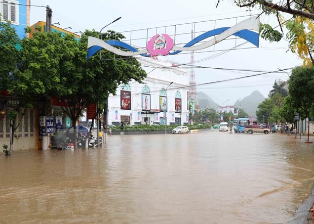 越南部分省市遭暴风雨雷电袭击 导致4人死亡 多人受伤和失踪 hinh anh 1