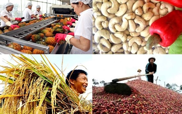 越南主要农产品已销往160个国家和地区 hinh anh 1