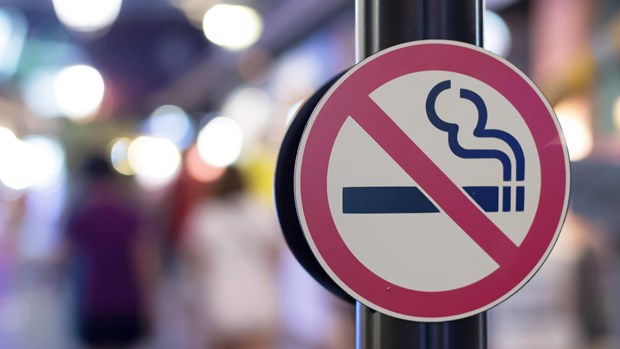 东南亚烟草控制联盟对印尼烟草在线广告禁令表示欢迎 hinh anh 1