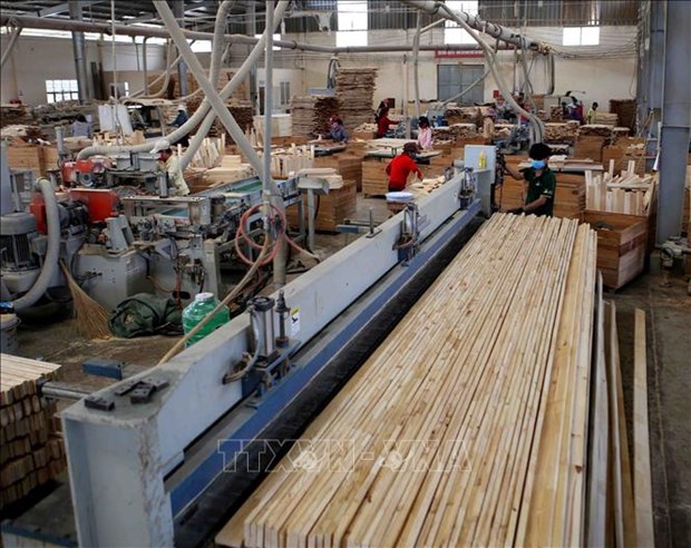 上半年越南林产品出口额增长近20% hinh anh 2