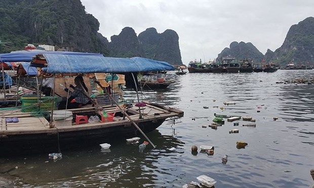 零排放旅行 — 越南旅游发展趋势 hinh anh 2