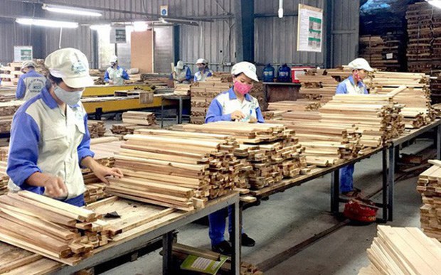 美国是越南木材重要的出口市场 hinh anh 2