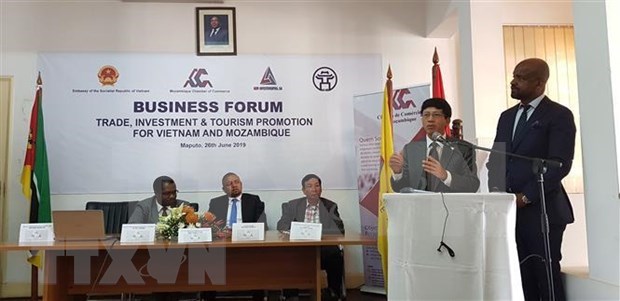 越南与莫桑比克促进贸易投资和旅游的合作 hinh anh 1