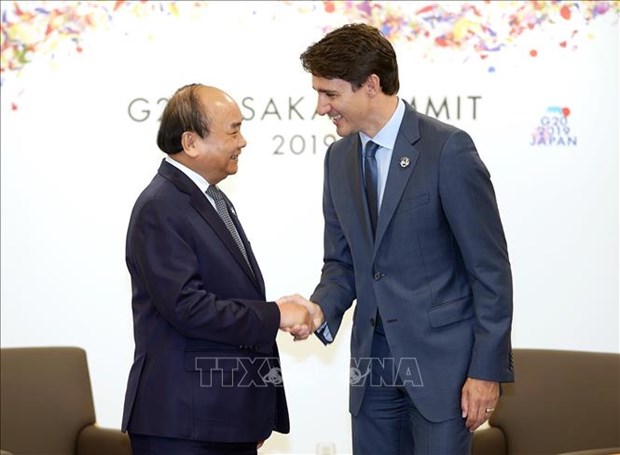 G20峰会：越南政府总理与参会各国领导人和国际组织领导会晤 hinh anh 3