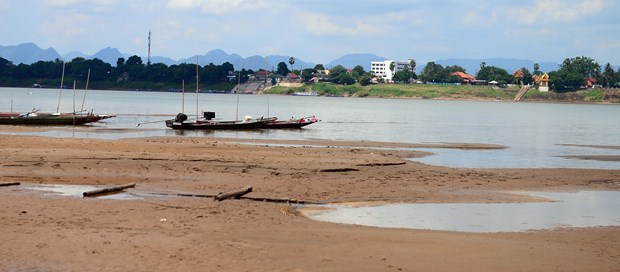 泰国东北部那空帕农府湄公河流域水位降至近百年来最低水平 hinh anh 1