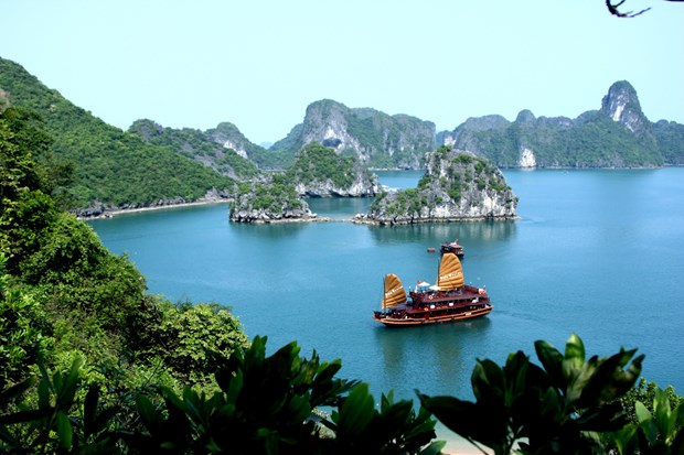 2019年越南最受欢迎的十大旅游目的地 hinh anh 3