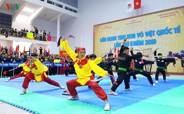 多国武术选手参加第二届“国际越南武术精髓”联欢节 hinh anh 1