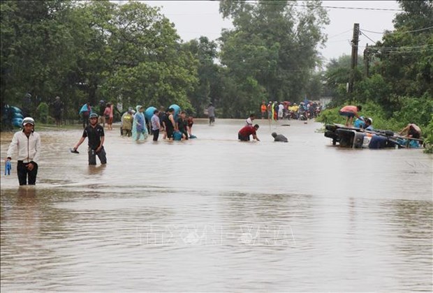 越南红十字会向西原和南部地区灾民提供救灾援助 hinh anh 2