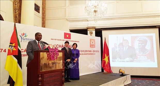 越南驻外国外交机构举行九·二国庆节纪念活动 hinh anh 3