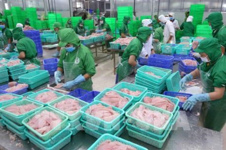 美国对越南查鱼产品第十五轮反倾销行政审查作出决定 hinh anh 2